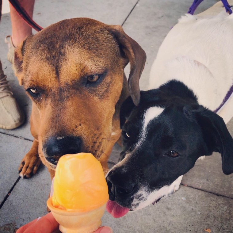 La-Z-Boy Gatson and Penelope eat ice cream.