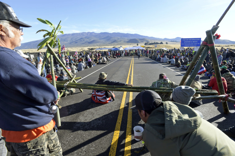 Image: Mauna Kea Protest