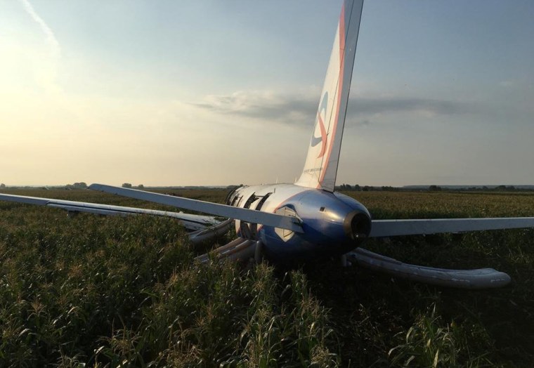 The Ural Airlines Airbus 321 passenger plane sits in a field following an emergency landing near Zhukovsky International Airport in Russia on Aug. 15, 2019.