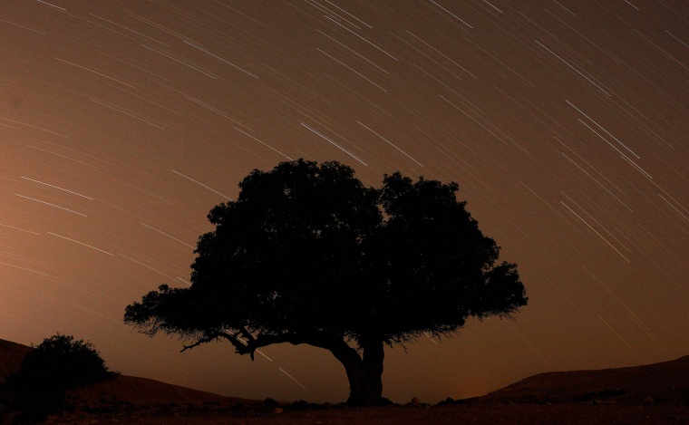 A long exposure shows stars behind a tree during the annual Perseid meteor shower near the town of Mitzpe Ramon, southern Israel, on Aug. 13, 2019.