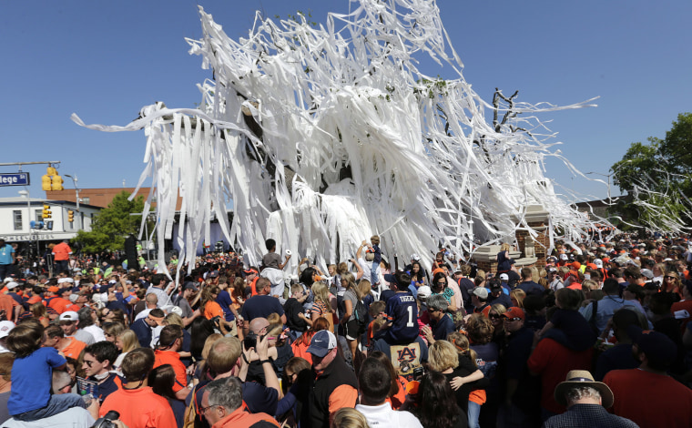 Image: Fans roll the poisoned oak trees at Toomer's Corner one final time following Auburn's A-Day spring NCAA college football game at Jordan-Hare Stadium in Auburn