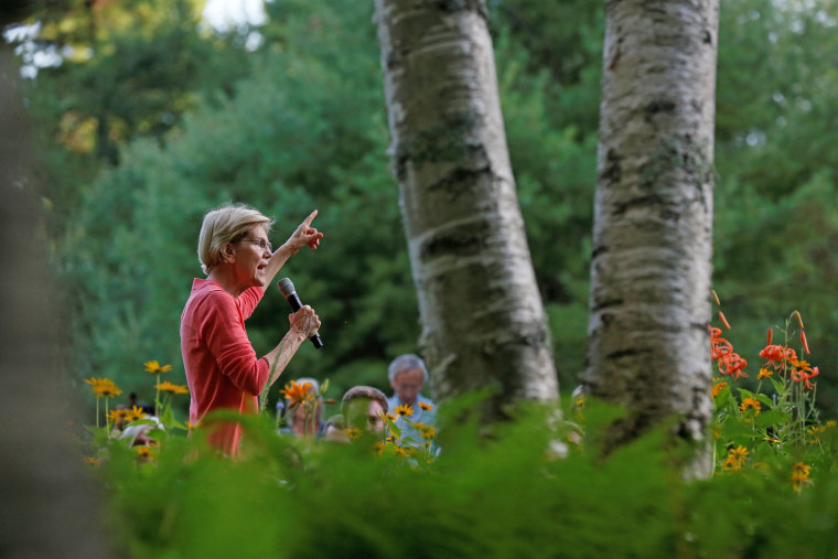 Image: 2020 Democratic U.S. presidential candidate and U.S. Senator Elizabeth Warren (D-MA) speaks to voters at a campaign house party in Wolfeboro