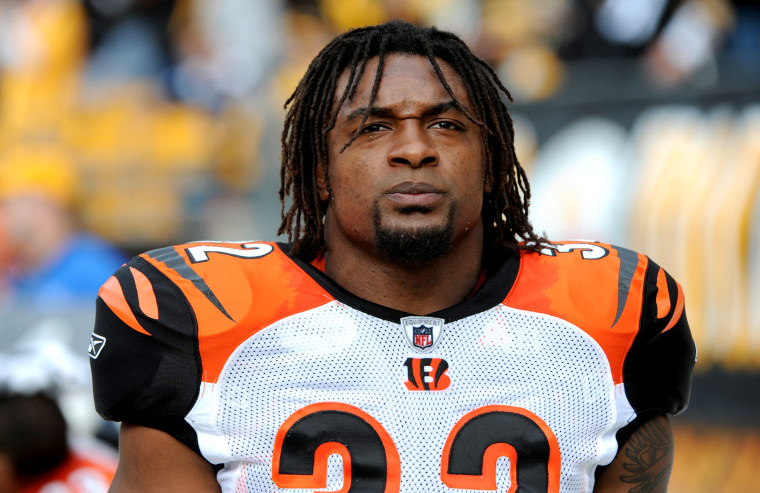 Image: Cedric Benson of the Cincinatti Bengals during a game against the Pittsburgh Steelers in 2009.