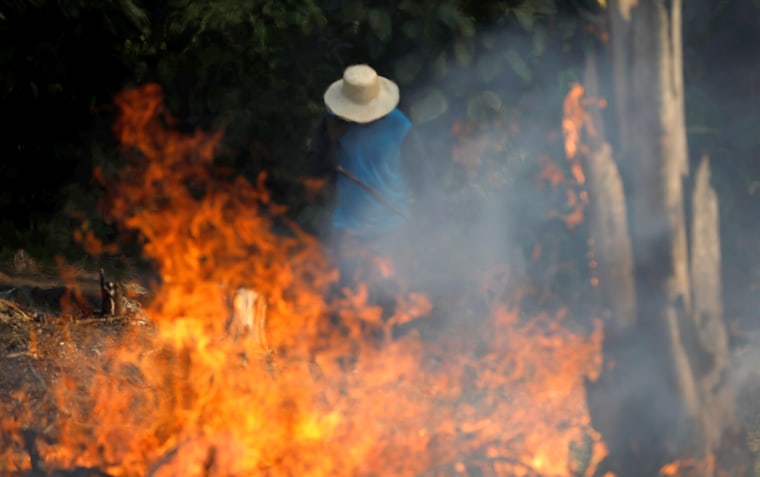 Image: A man works in a burning tract of Amazon jungle as it is being cleared by loggers and farmers in Iranduba