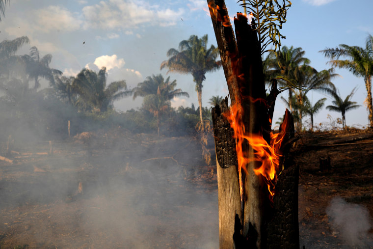 Image: A tract of Amazon jungle is seen burning as it is being cleared by loggers and farmers in Iranduba