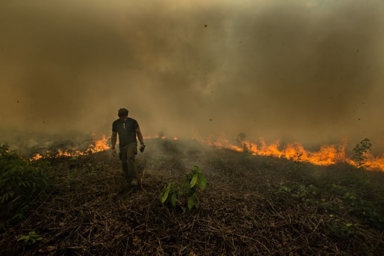 Image: Amazon rainforest fire