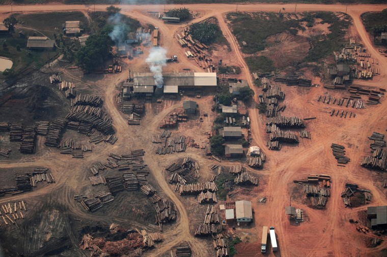 Image: An aerial view of logs illegally cut from Amazon rainforest are seen in sawmills near Humaita