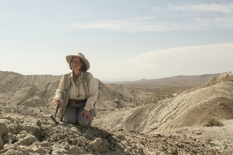 Dr. Catherine Badgley surveys the Barstow Basin in southern California, April 2015.