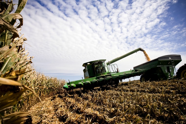 Image: A farmer unloads harvested corn for ethanol production in Marshall, Mo., on Sept. 8, 2010.