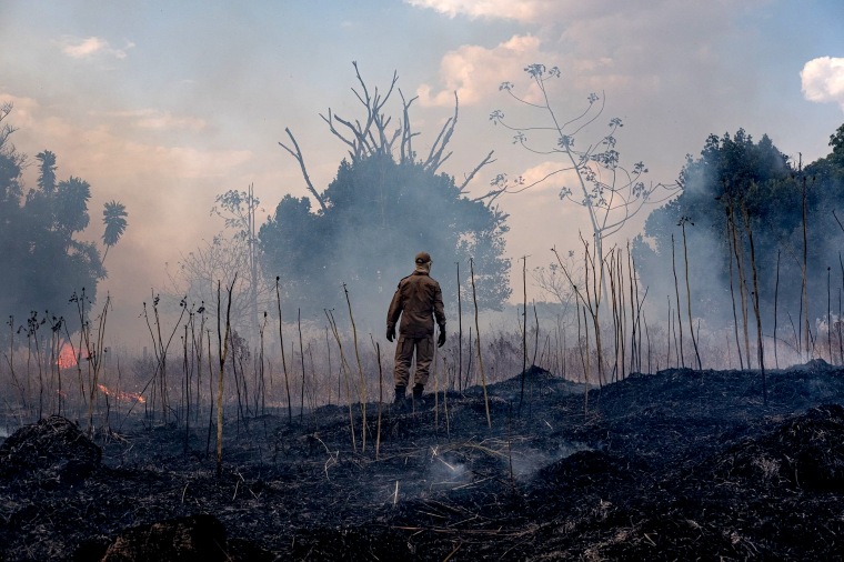 Image: A firefighter stands in a burned portion of the Amazon basin in Sorriso, Brazil, on Aug. 26, 2019.