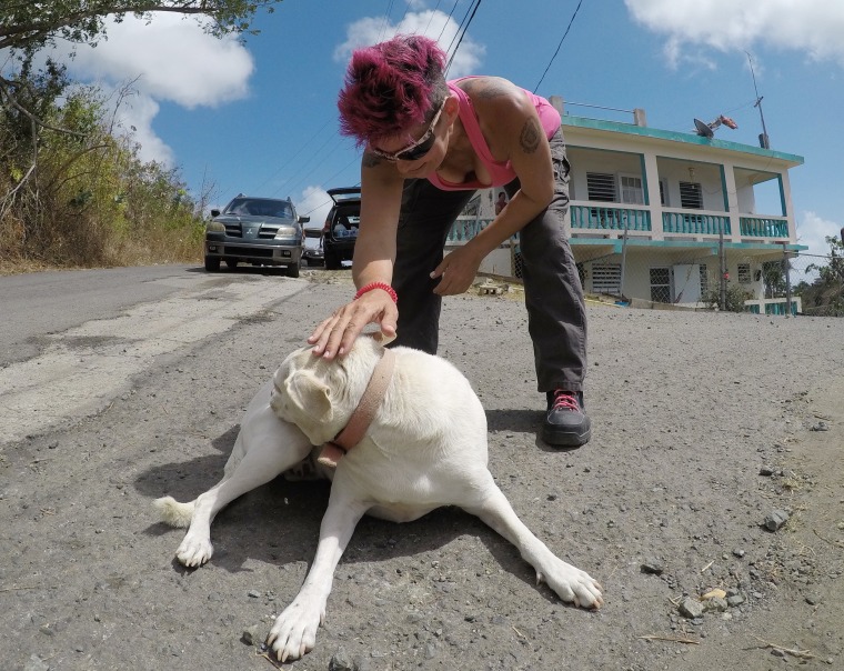 Dee Smalling feeds strays during a mission in Guarabo, Puerto Rico.