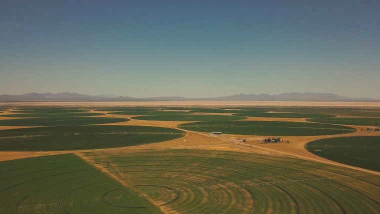 Crop circles have automated overhead sprinklers anchored to the center of the field, which rotate around the circle watering concentric rows of crops