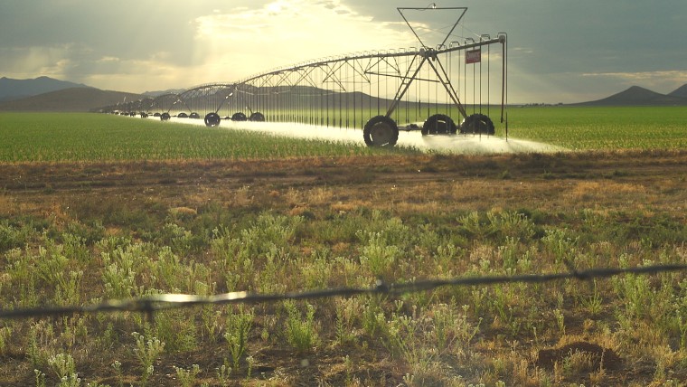 A center pivot in profile -- the Zimmatic rig will roll slowly around the circular field watering the crops below