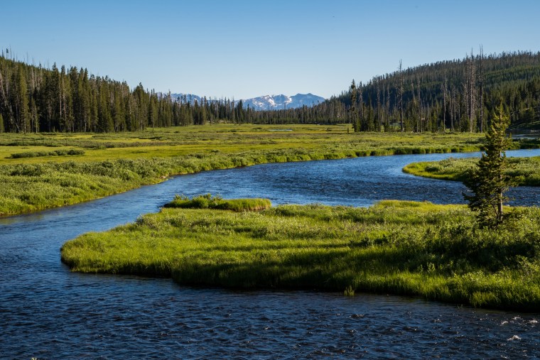 Image: Lewis River Yellowstone