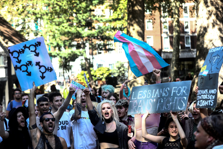 Image: Protestors chant during the first ever Trans Pride March in London