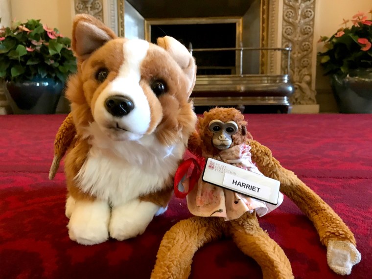 Image: Harriet the Monkey with her new friend, Rex the Corgi, at Buckingham Palace.