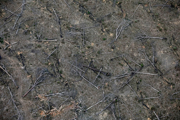 Image: An aerial view shows a deforested plot of the Amazon near Porto Velho