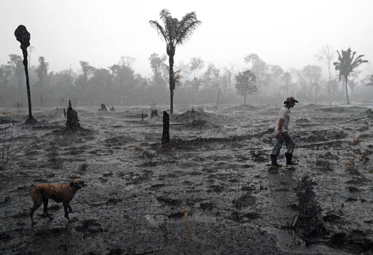 Image: Brazilian farmer Helio Lombardo Do Santos and a dog walk through a burnt area of the Amazon rainforest, near Porto Velho, Rondonia state, Brazil
