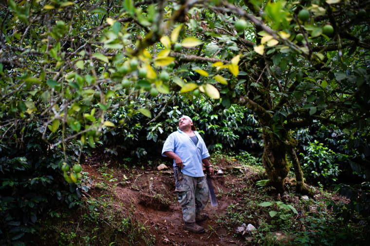 The livelihood of people in the mountainous region of Hoja Blanca, Guatemala in the department of Huehuetenango is coffee. There are land owners and workers, but nearly everyone relies on this single crop to live. And now with the coffee prices low, peopl