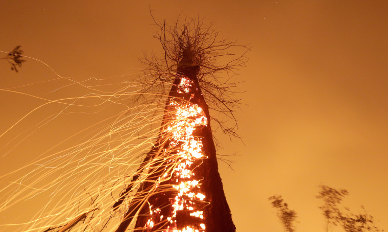 Image: A tract of Amazon jungle burns as it is cleared by farmers in Rio Pardo