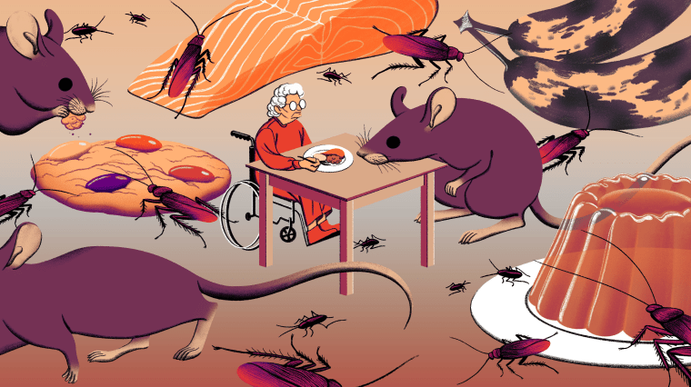 Illustration of old woman eating a meal while bugs and rodents crawl around her and food decomposes.