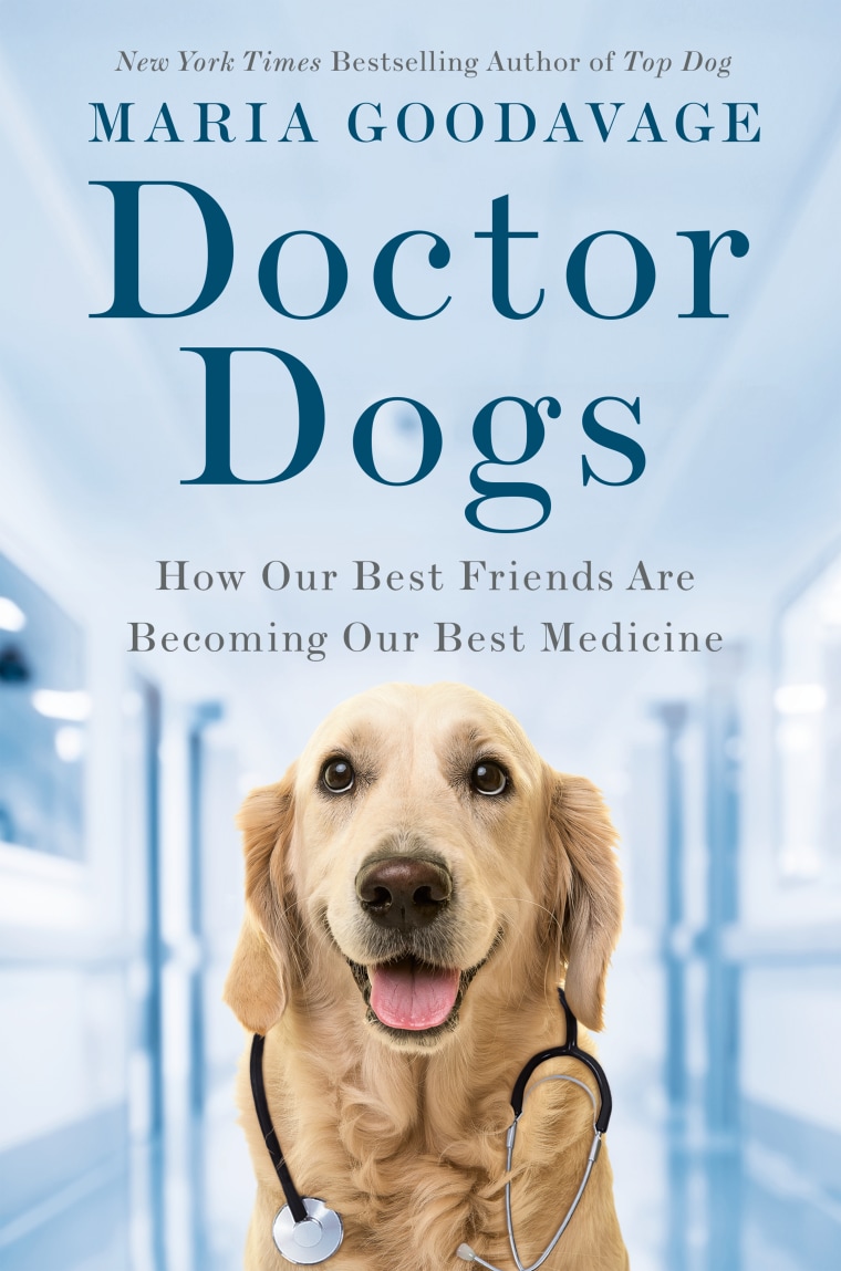 Book cover for "Doctor Dogs" by Maria Goodavage