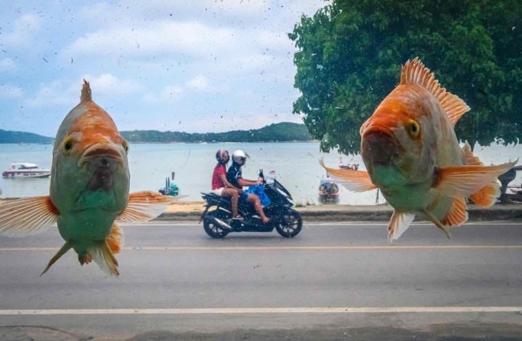 Image: THAILAND-TOURISM