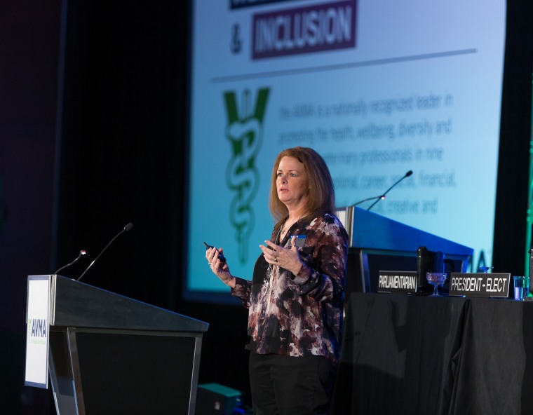 Dr. Jen Brandt speaks at AVMA's Veterinary Leadership Conference.