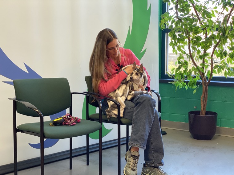 Humane Animal Rescue said that Dutchess' microchip made the reunion possible. 