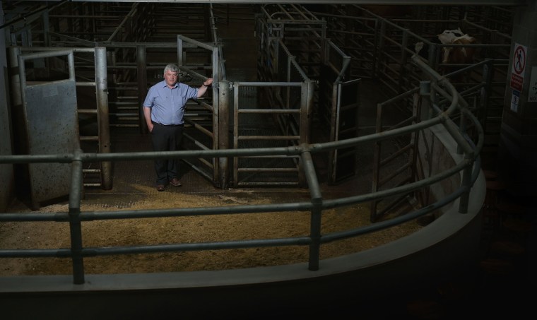 Image: Hampton Hewitt, the owner and auctioneer of Markethill Livestock and Farm Sales.