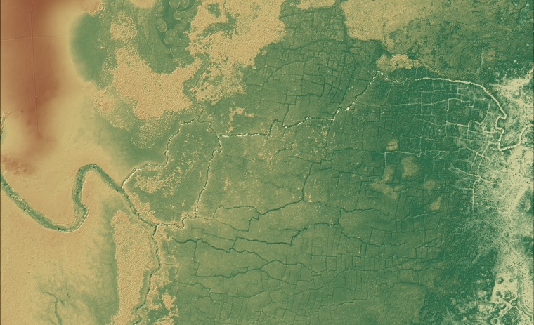 Scientists used laser scanning technology to detect ancient Maya farms and canals in a rainforest in northwestern Belize.