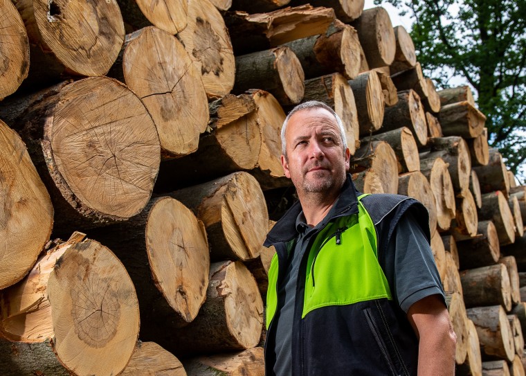 Image: Forester Dirk Fritzlar works in east Germany's Hainich forest, Sept. 5, 2019.