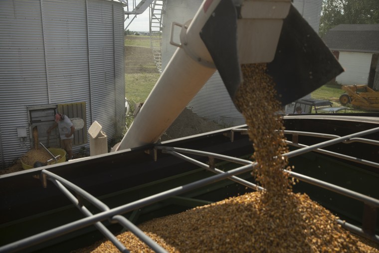 David Lieth pours out his corn, which was spoiled by floodwaters that hit southwest Iowa earlier this year. 