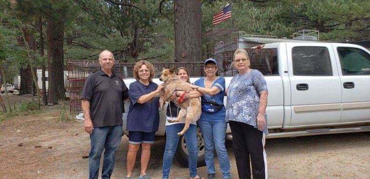 Babs Fry holds Shelby, a dog missing for 28 days in the woods.