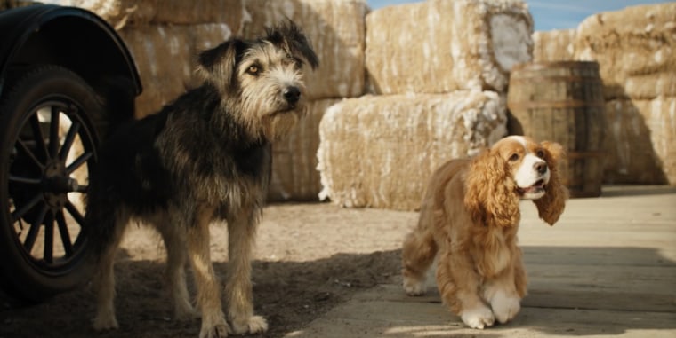 Image: The lady and The Tramp