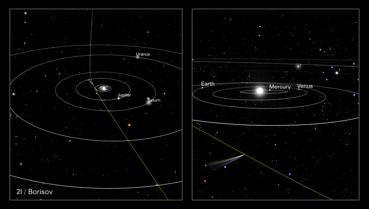 The path of interstellar comet 21/Borisov now passing through our solar system.