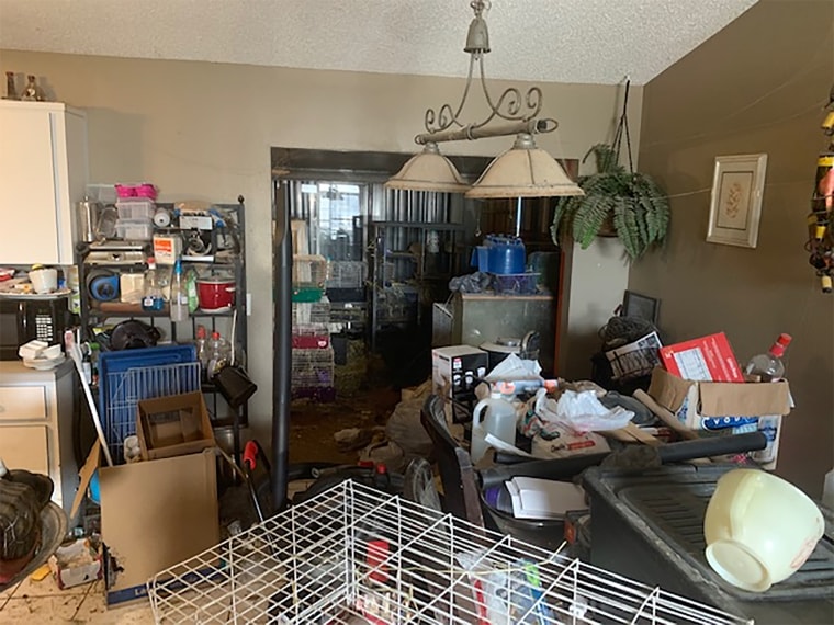 A dirty room in a house where police located three juveniles and 245 animals of various species in poor care in Edgewater, Florida on Oct. 20, 2019.