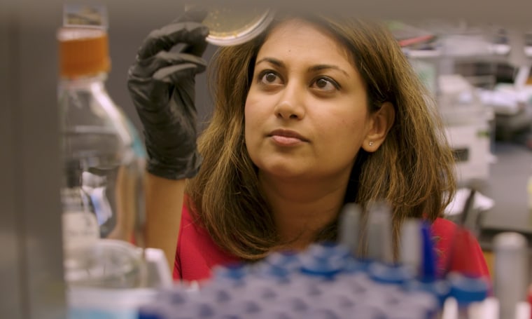 Immunologist Shruti Naik is trying to recruit and retain more women and minorities in STEM.