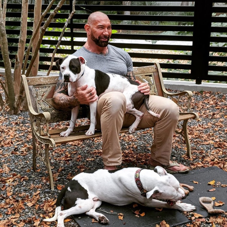 “He has an amazing heart for animals, but I think what is even more beautiful about how he connects with pit bulls is that it's just such a seamless, loving, humble way that he reaches out to dogs and he really connects,” Lisa Bricker, the director of development at Frankie’s Friends, a charitable pet foundation, told TODAY.