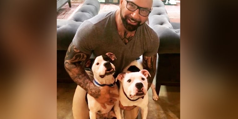 Dave Bautista, who plays Drax the Destroyer in the "Guardians of the Galaxy" films, is also a big animal lover.