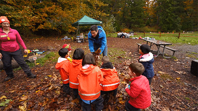 Children at Tiny Trees play with fall leaves in their outdoor preschool.