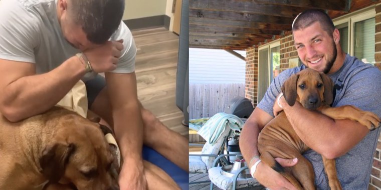 Tim Tebow posted a heartbreaking goodbye to his beloved pup, Bronco, on Nov. 20, 2019.