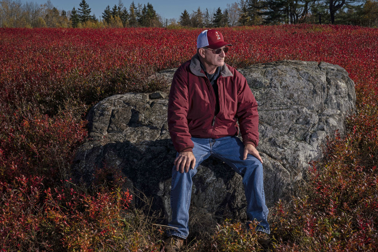 Leon Perry has invested hundreds of thousands of dollars farming wild blueberries over the years. "If I'd had a crystal ball, I would've invested a little differently," he said.