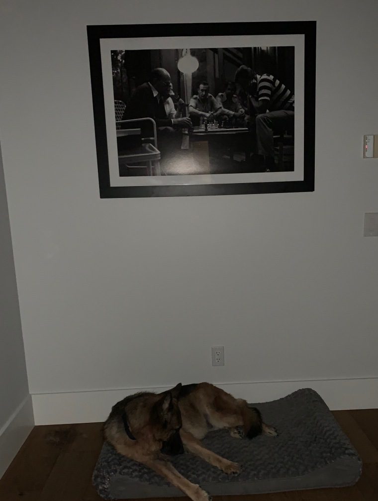 Daisy sleeps beneath a picture of the late Zbigniew Brzezinski. In the picture, Zbigniew Brzezinski plays chess with former Prime Minister of Israel, Menachem Begin, at the peace accords in 1979.