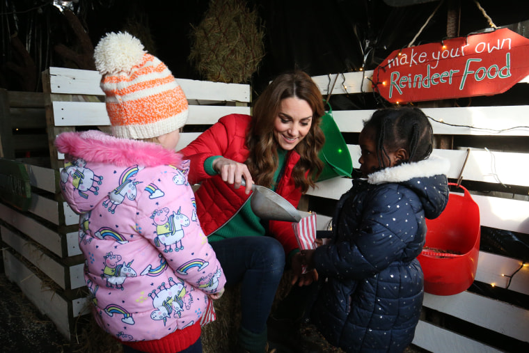 Image: The Duchess Of Cambridge Joins Family Action To Mark New Patronage