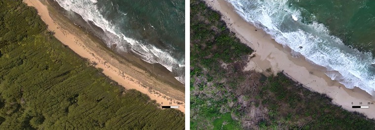 Image: The shoreline in Manati, Puerto Rico, in August 2017, left, and after Hurricane Maria in November 2017, right.