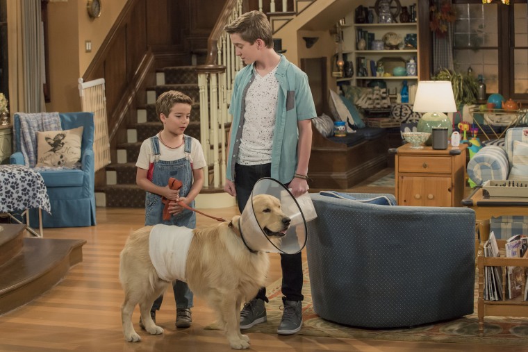 Cosmo the pet dog on "Fuller House."