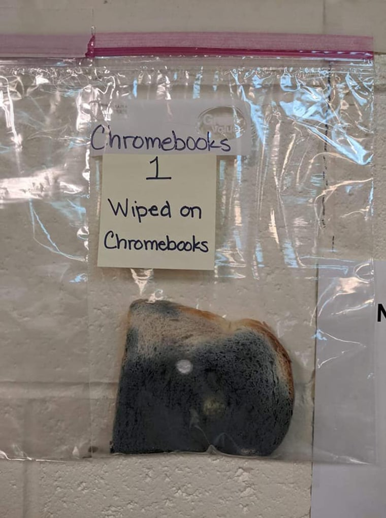 https://media-cldnry.s-nbcnews.com/image/upload/t_fit-760w,f_auto,q_auto:best/newscms/2019_51/1520614/classroom-experiment-hand-washing-bread-today-inline2-191217.jpg