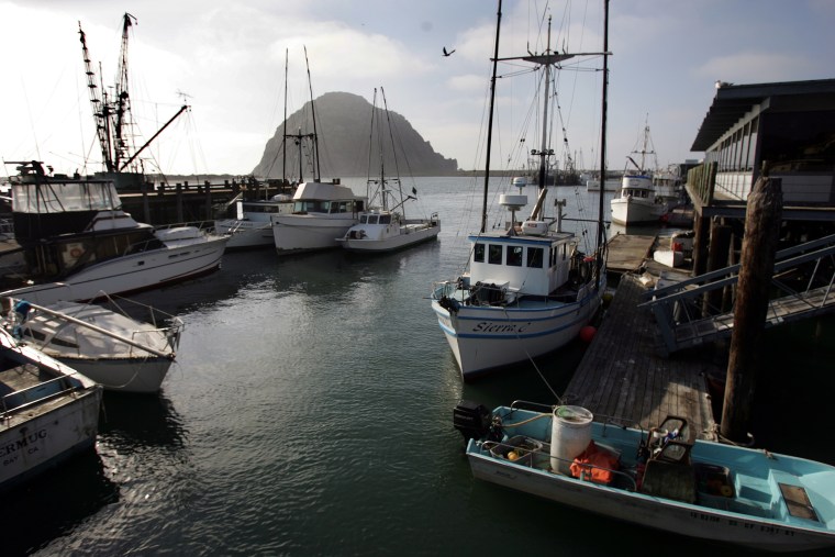 Image: View of Morro Bay commercial fishing vessels docks in harbor Febuary 14, 2006. Nearly 50 years ago,