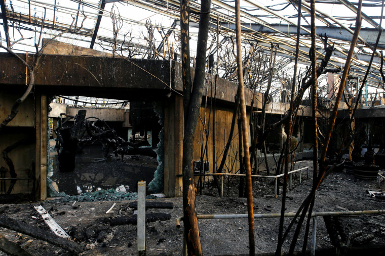 Image: Fire damage at Zoo Krefeld